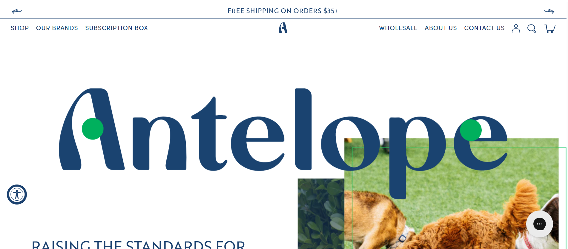 Antelope Pets website